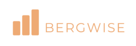 Bergwise analytics solutions